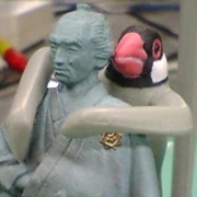 Hitaki
